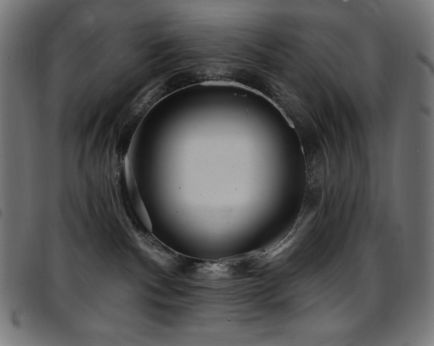 X0000097750140200803071257