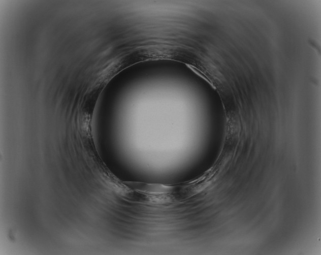 X0000097750141200803071257