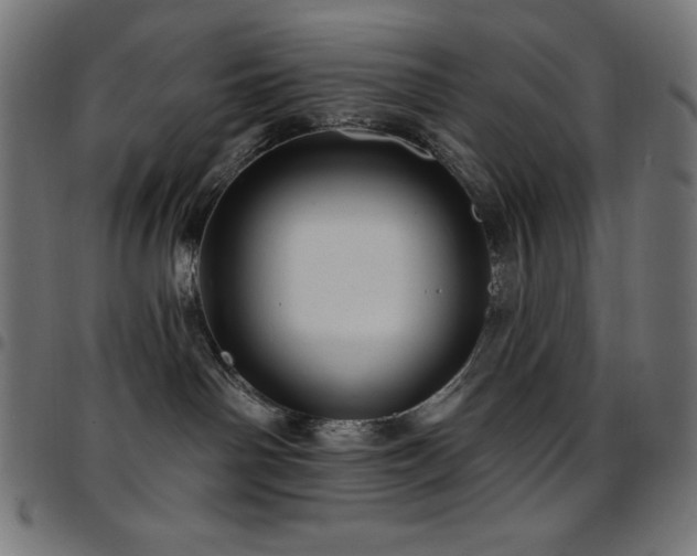 X0000097750142200803071257