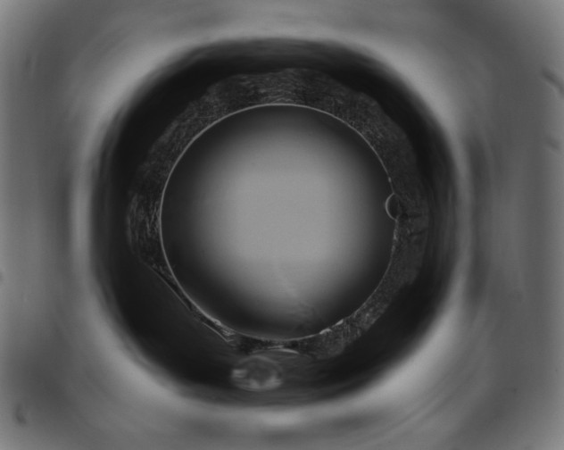 X0000097750143200803071257