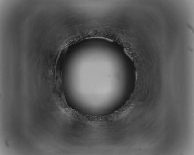 X0000097750144200803071257