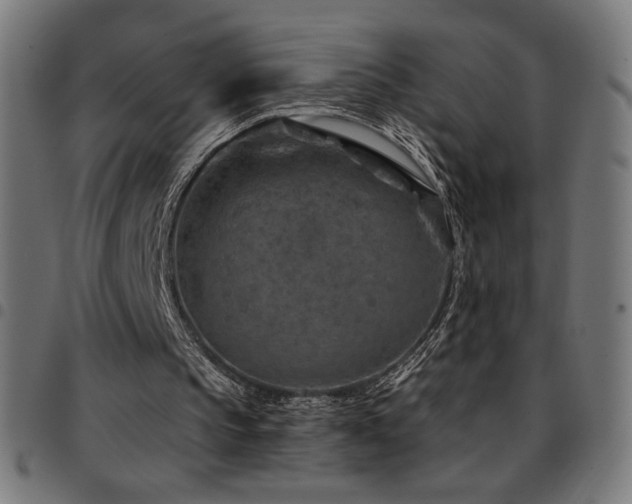 X0000097750145200803071256