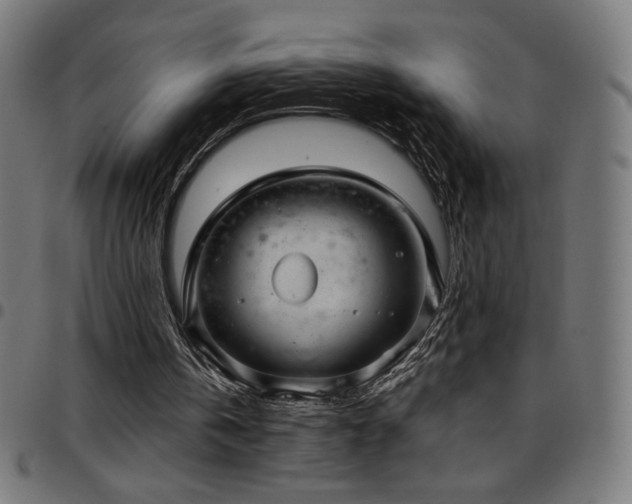 X0000097750146200803071256