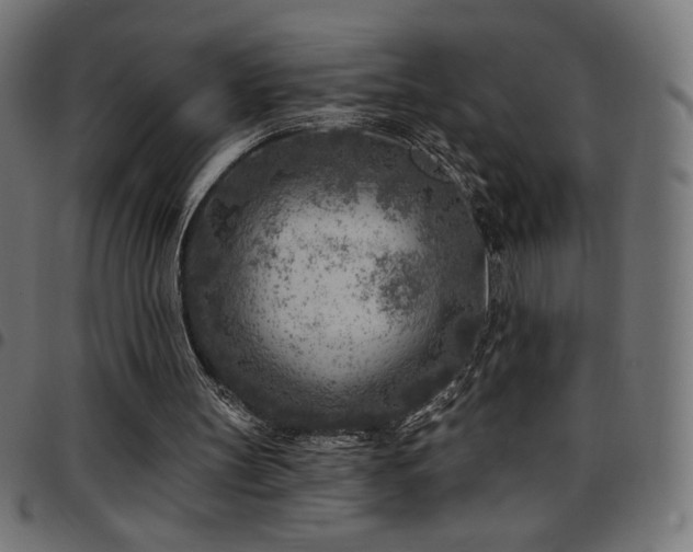 X0000097750147200803071256