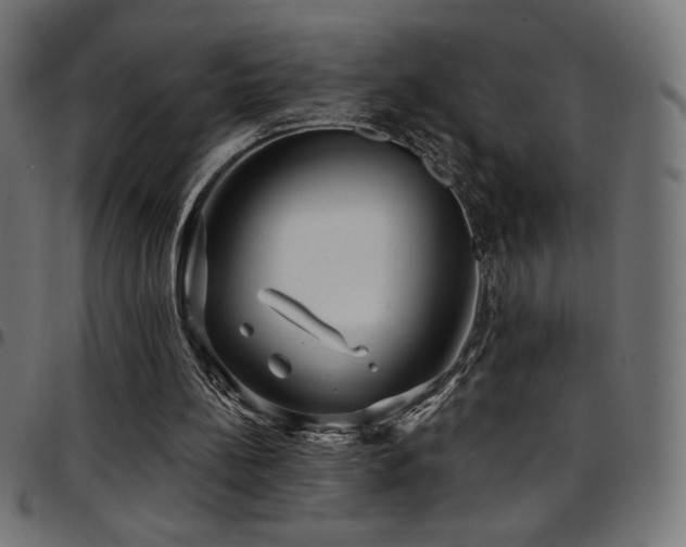 X0000097750148200803071256