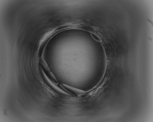 X0000097750149200803071256