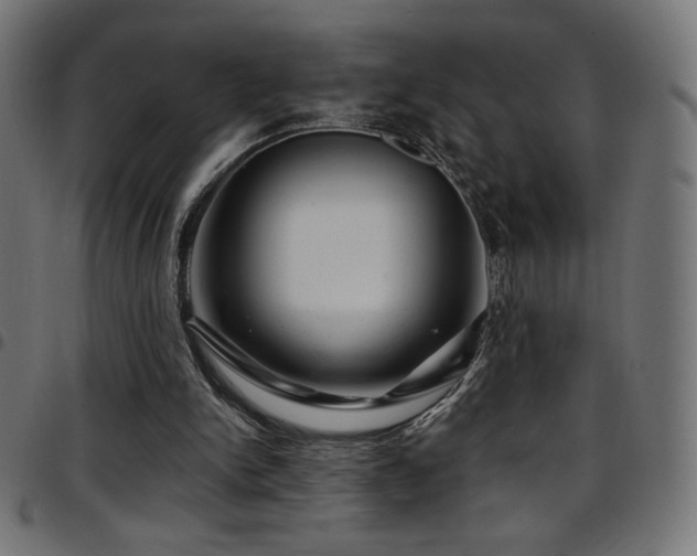 X0000097750150200803071256