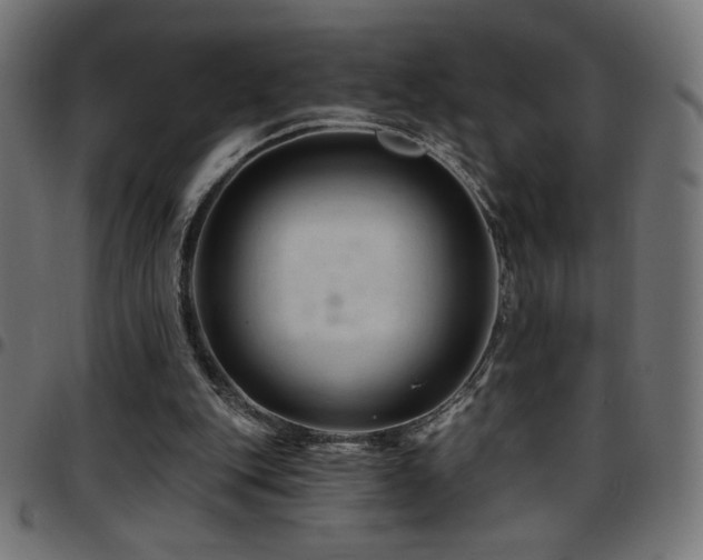 X0000097750151200803071256