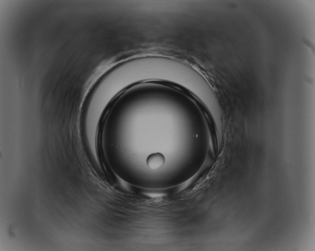 X0000097750152200803071256