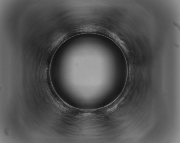 X0000097750153200803071256