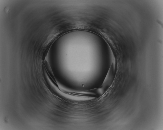 X0000097750154200803071256