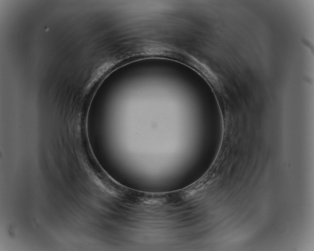 X0000097750155200803071256