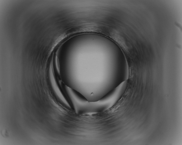 X0000097750156200803071256