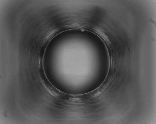 X0000097750157200803071256