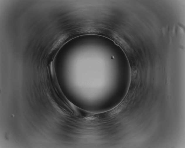 X0000097750158200803071256