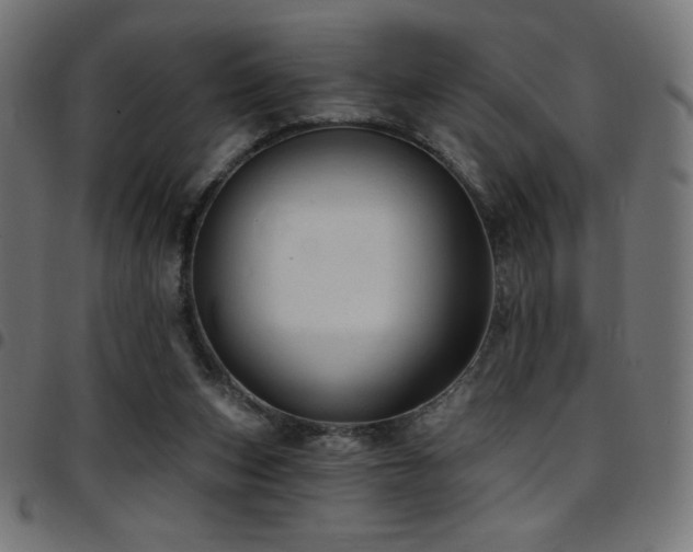 X0000097750159200803071256