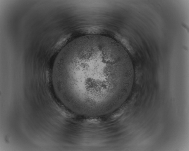 X0000097750161200803071256