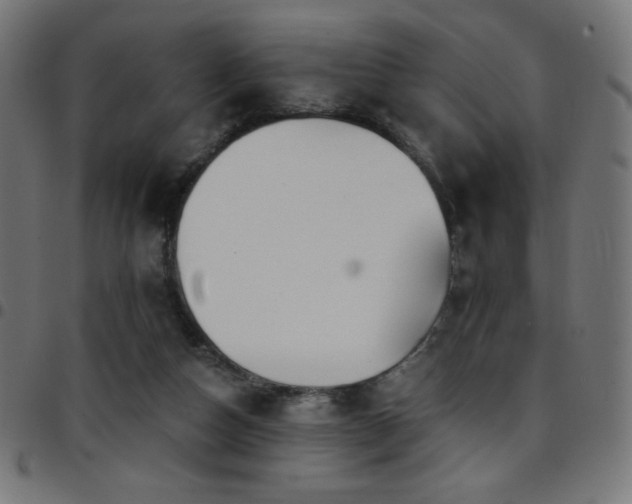 X0000097750162200803071256