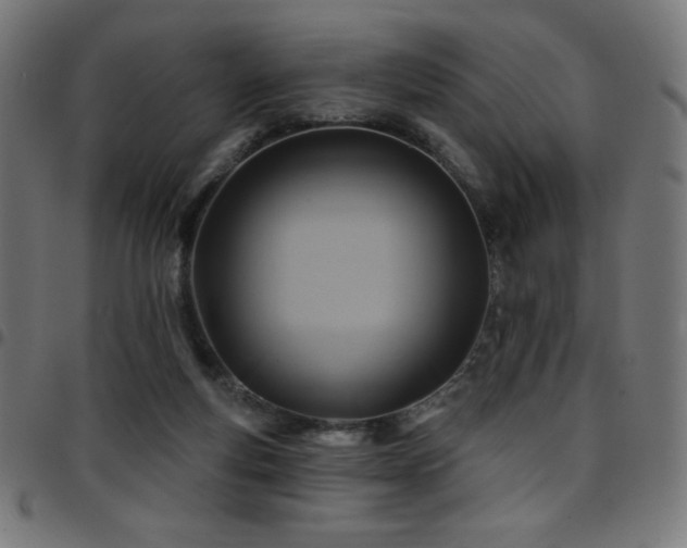 X0000097750163200803071256