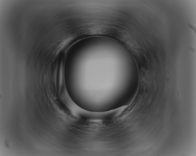 X0000097750164200803071256