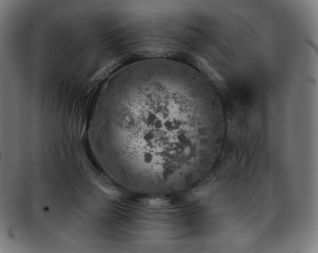 X0000097750165200803071256