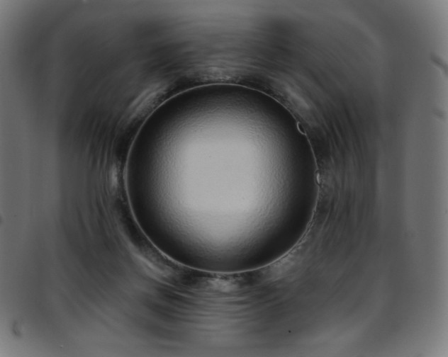 X0000097750166200803071256