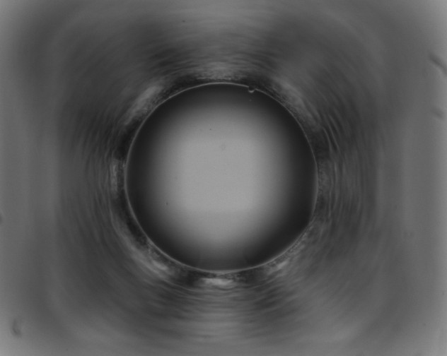 X0000097750167200803071256