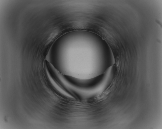 X0000097750168200803071256