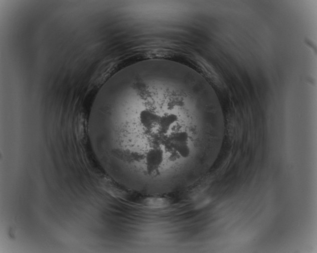 X0000097750169200803071256