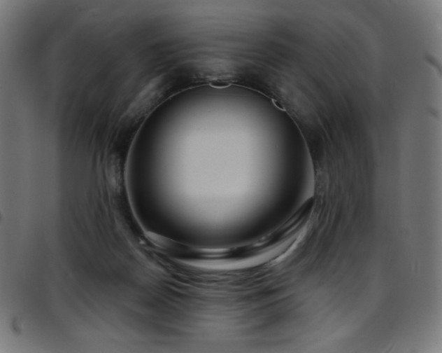 X0000097750170200803071256