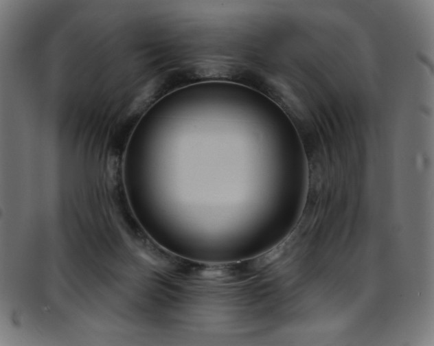 X0000097750171200803071256