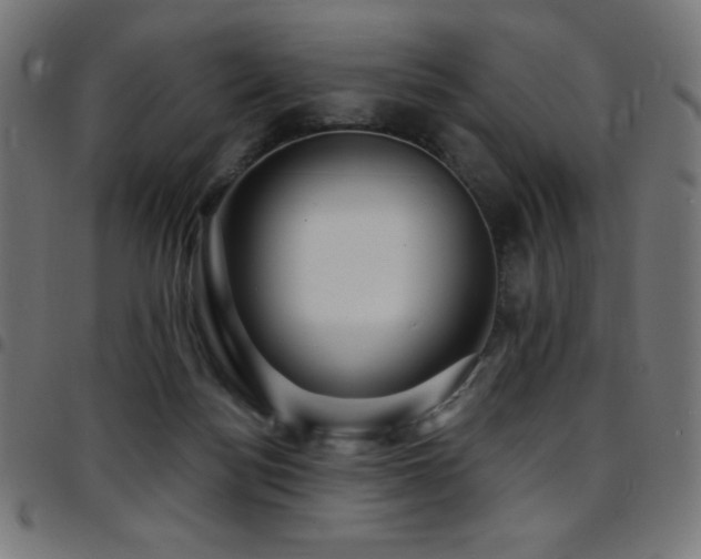 X0000097750172200803071256