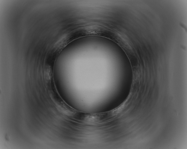 X0000097750174200803071256