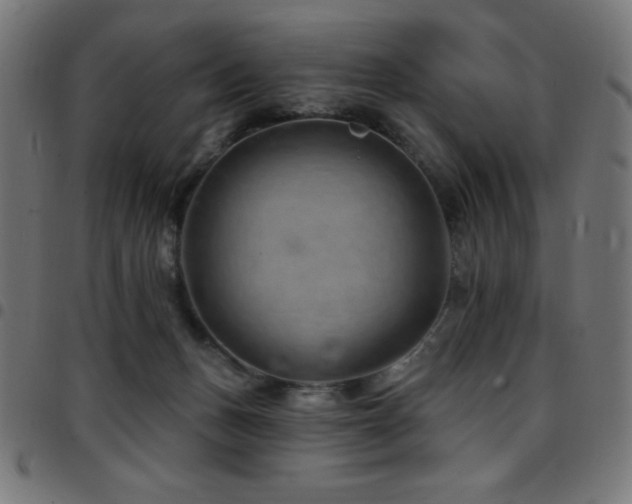 X0000097750175200803071256