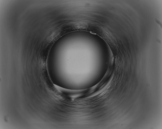 X0000097750176200803071256