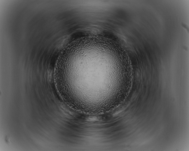 X0000097750177200803071256