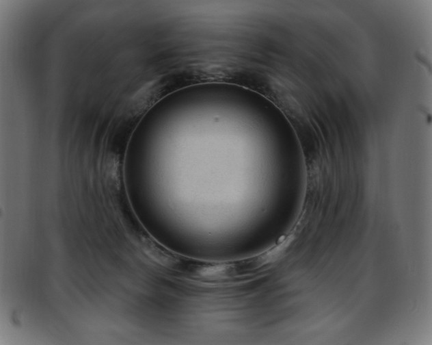 X0000097750178200803071256