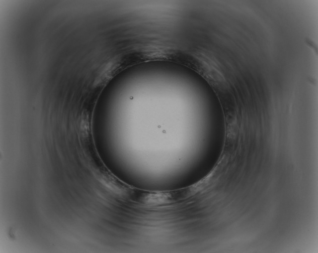 X0000097750179200803071257