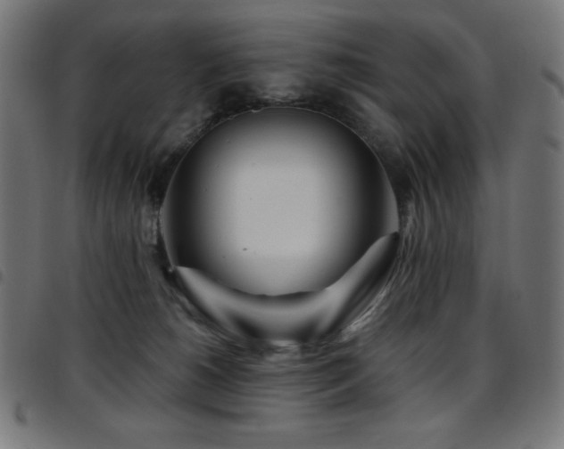 X0000097750180200803071257