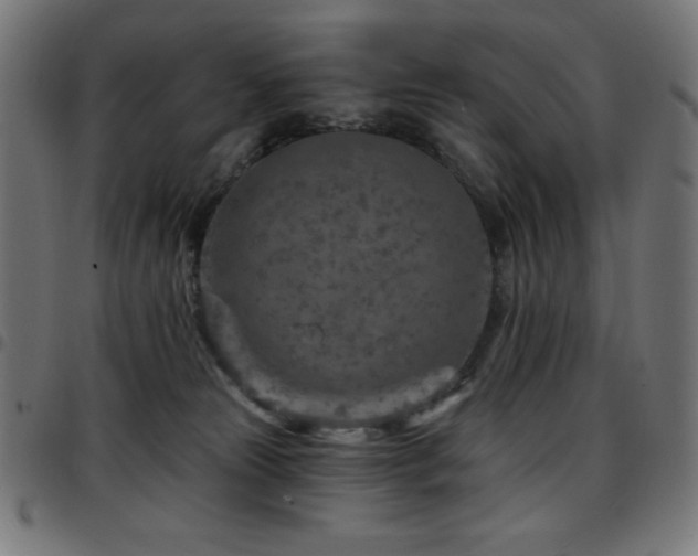 X0000097750181200803071257