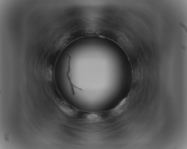 X0000097750183200803071257