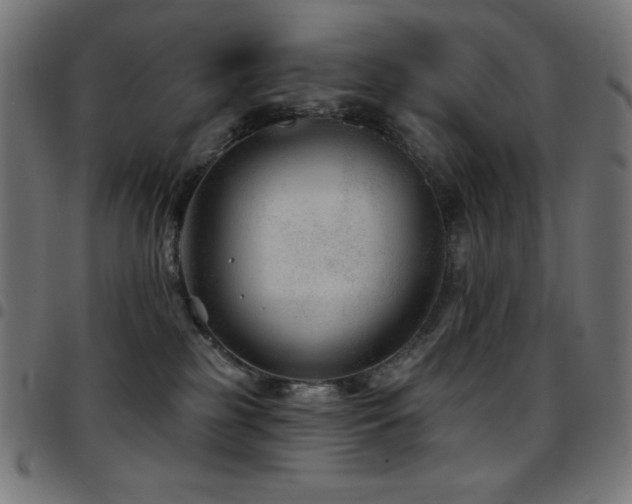 X0000097750185200803071257