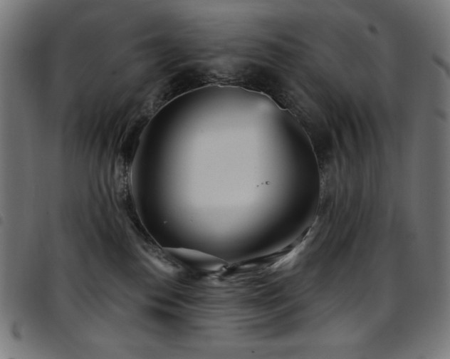 X0000097750186200803071257