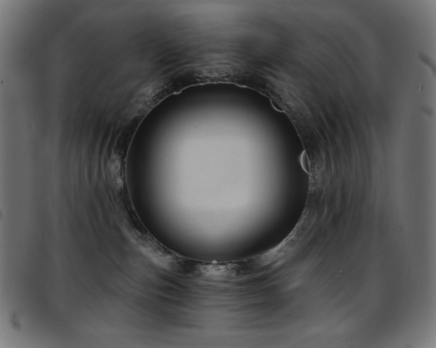 X0000097750187200803071257