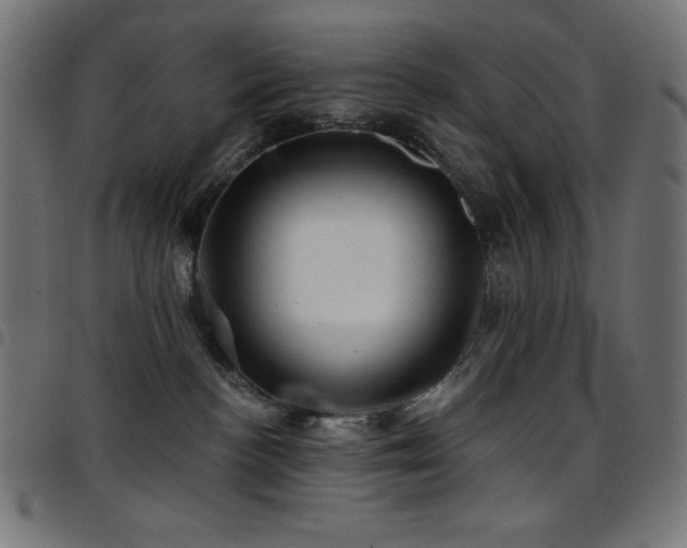 X0000097750188200803071257