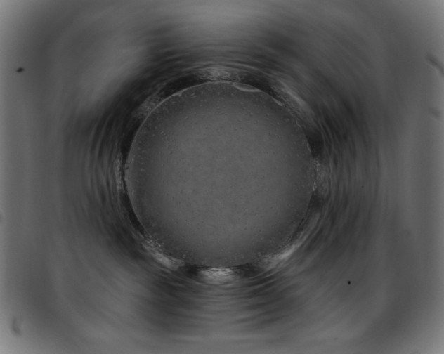 X0000097750189200803071257