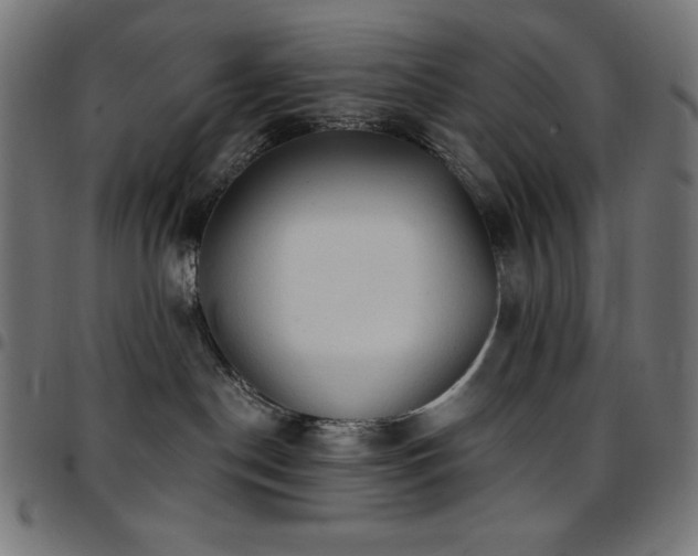 X0000097750190200803071257