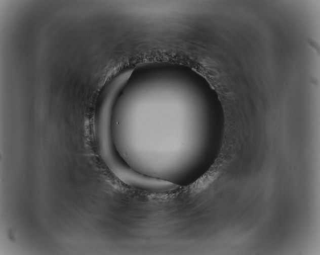 X0000097750192200803071257