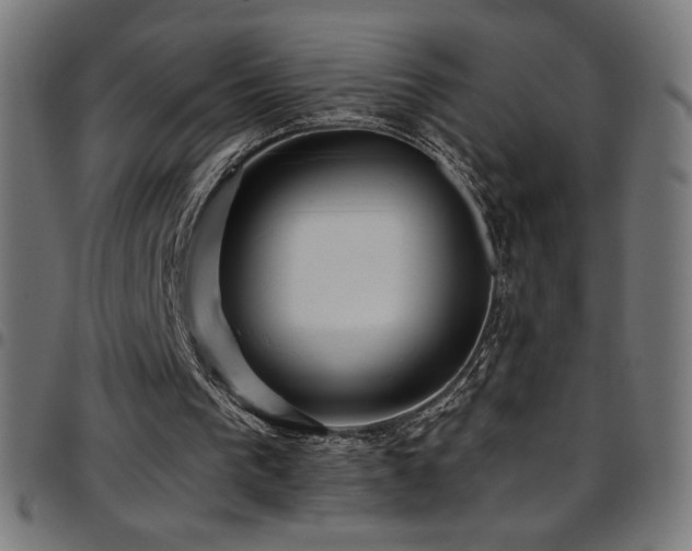 X0000097750193200803071256