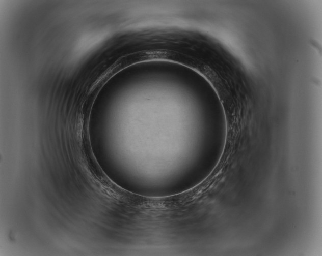 X0000097750194200803071256